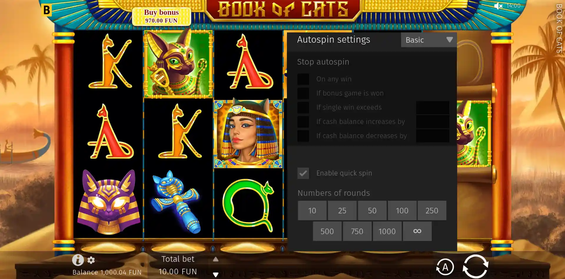 Book of Cats slot showing autospin settings and round options